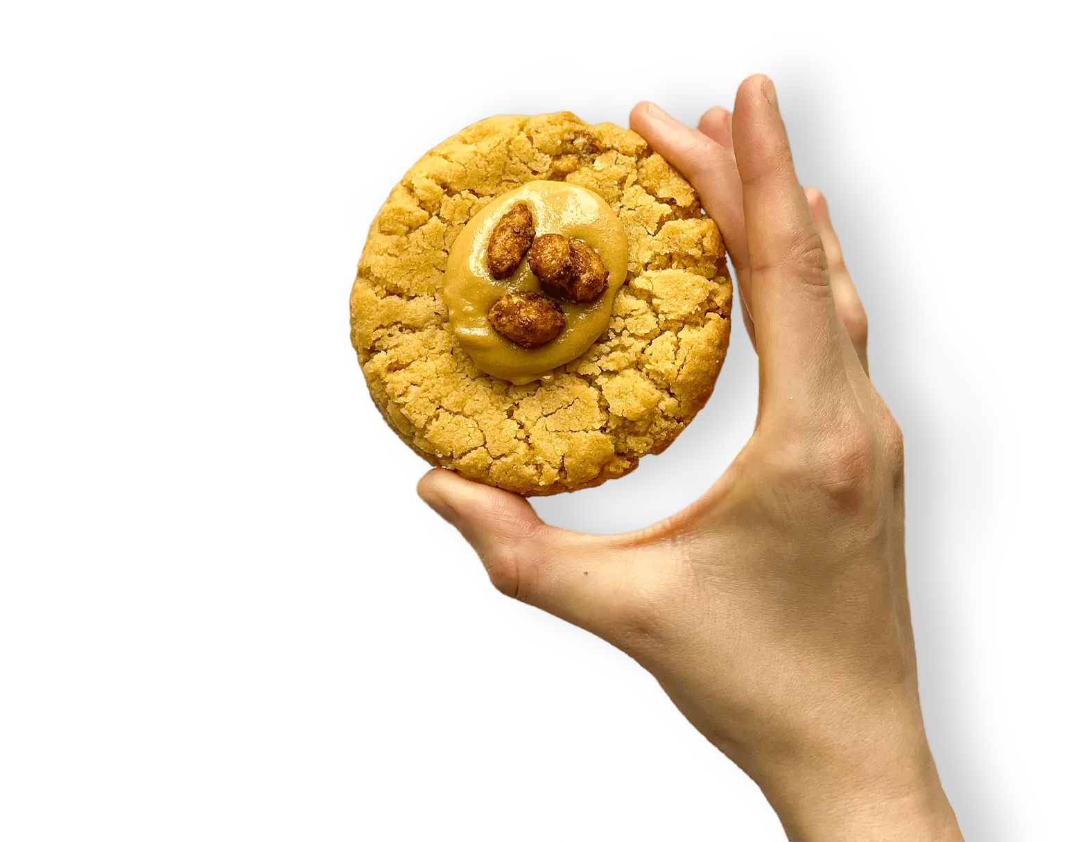 Main tenant un cookie fait maison et vegan Main tenant un cookie fait maison et vegan